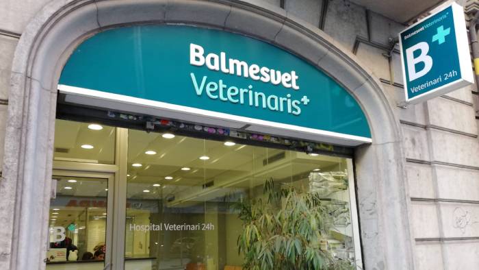 balmesvet veterinari